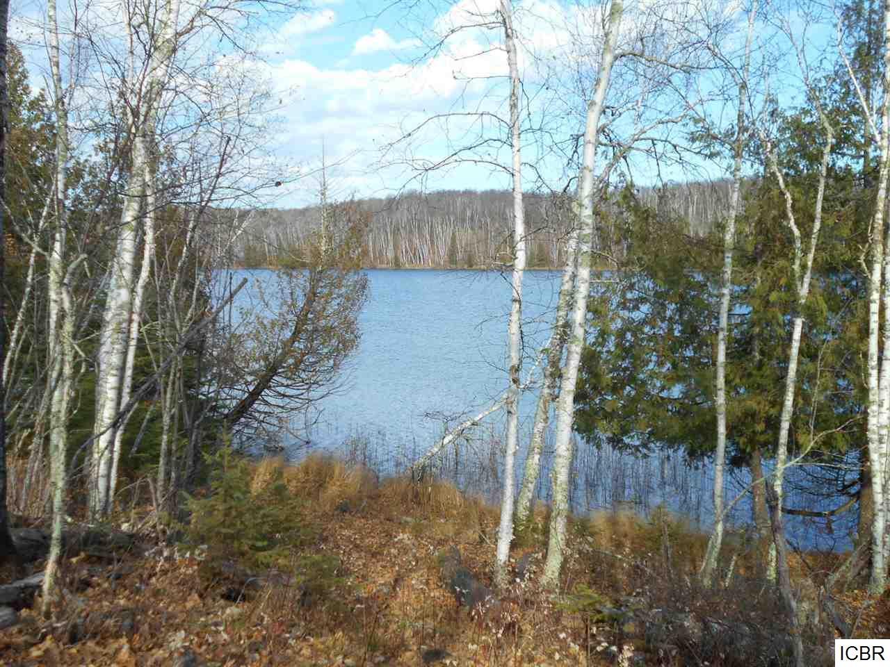 TBD HATCH LAKE RD, Marcell, MN, 56657 MLS 6015172 Edina Realty