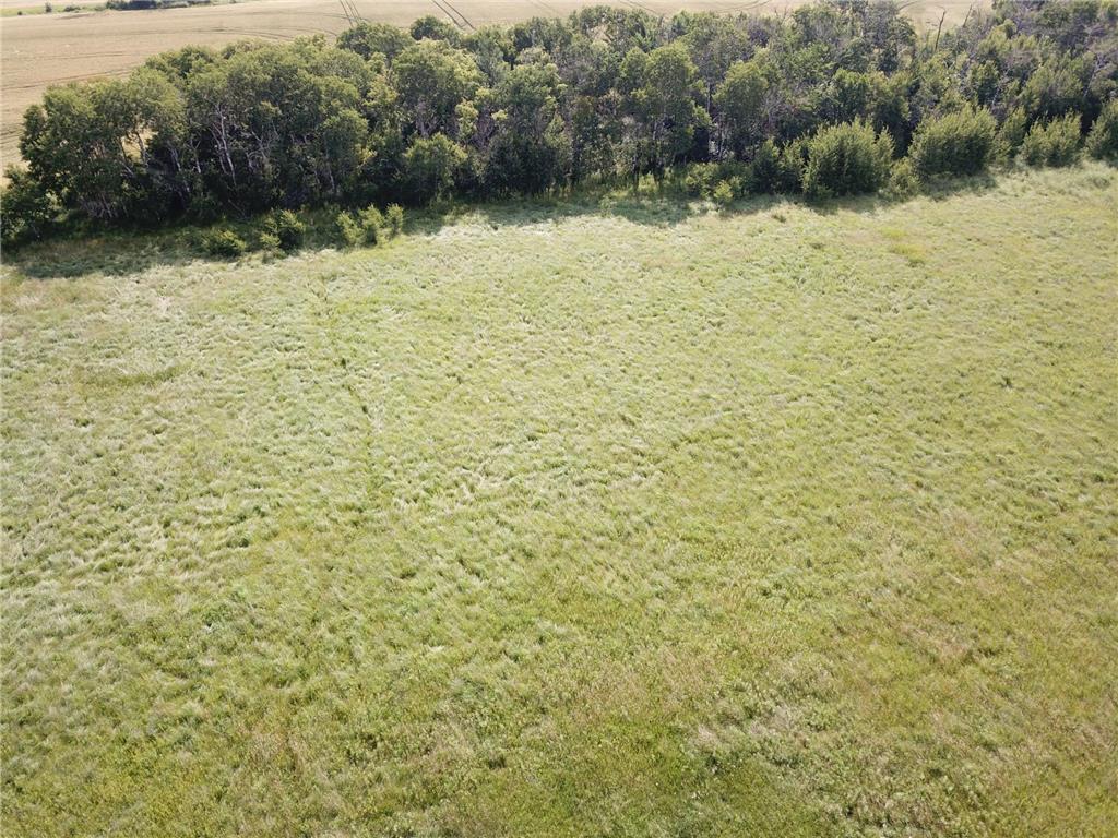 TBD HWY 10 Bray Twp MN 56701 - BLACK RIVER 7039476 image16