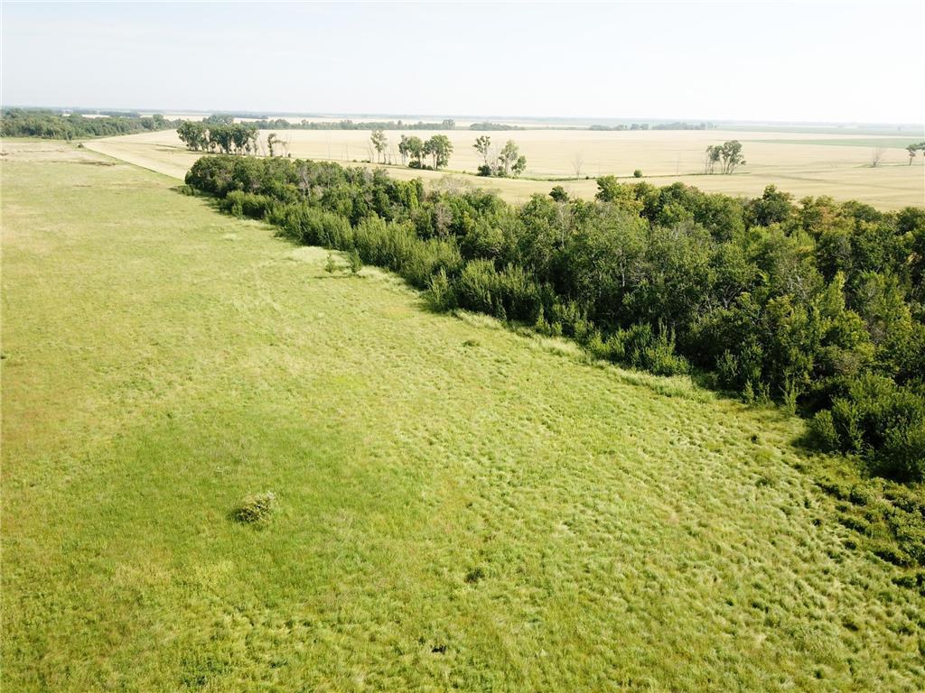 TBD HWY 10 Bray Twp MN 56701 - BLACK RIVER 7039476 image17