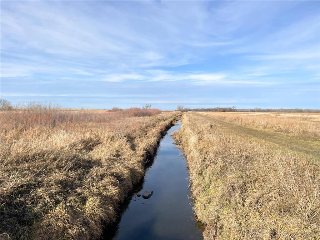 TBD HWY 10 Bray Twp MN 56701 - BLACK RIVER 7039476 image20