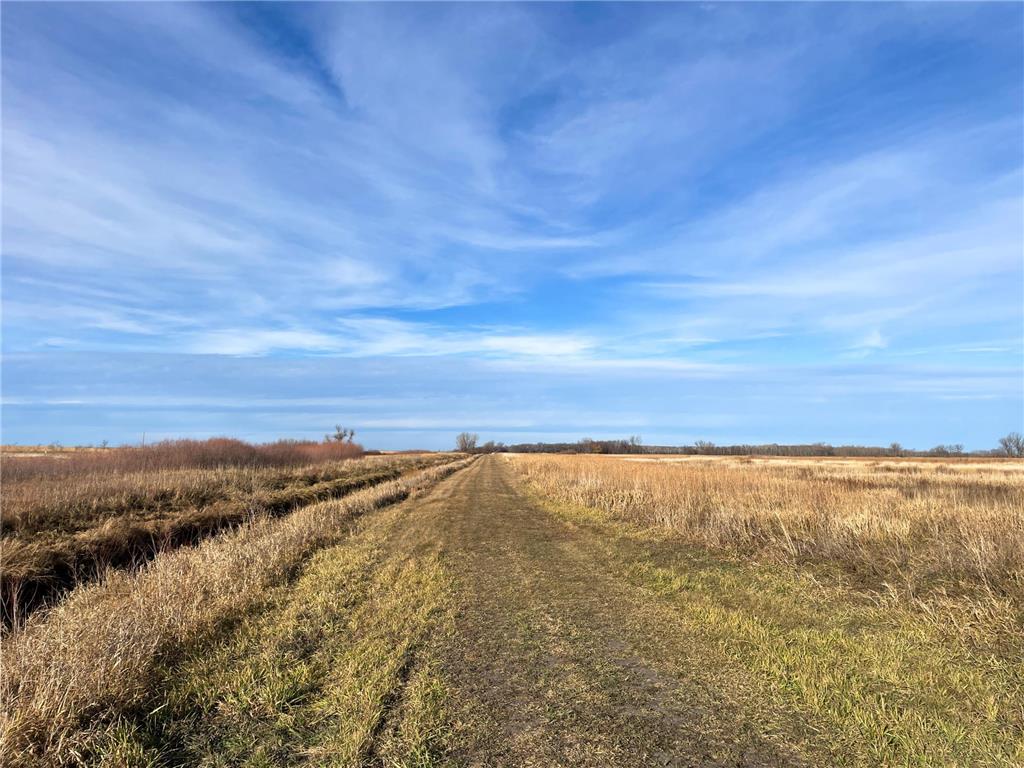 TBD HWY 10 Bray Twp MN 56701 - BLACK RIVER 7039476 image21