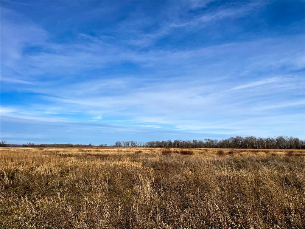 TBD HWY 10 Bray Twp MN 56701 - BLACK RIVER 7039476 image23