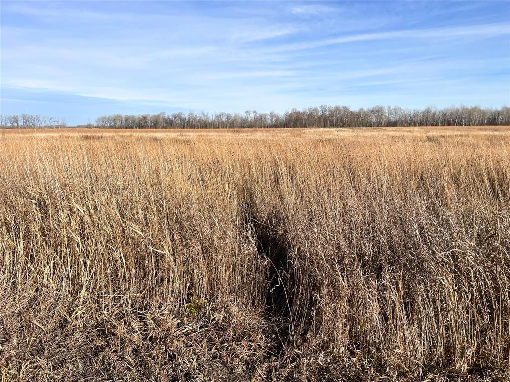 TBD HWY 10 Bray Twp MN 56701 - BLACK RIVER 7039476 image24