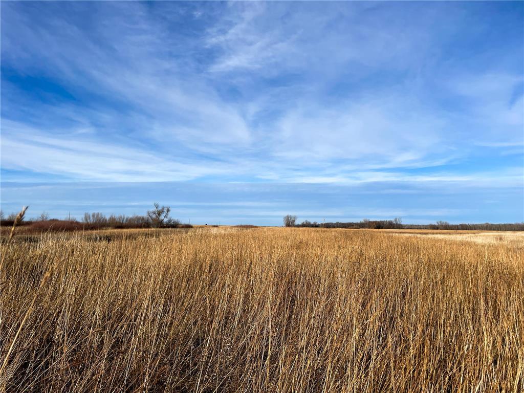 TBD HWY 10 Bray Twp MN 56701 - BLACK RIVER 7039476 image25