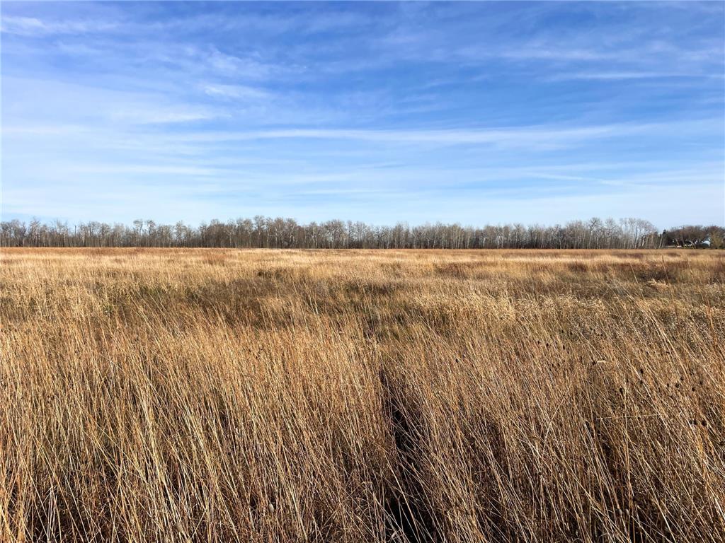 TBD HWY 10 Bray Twp MN 56701 - BLACK RIVER 7039476 image26