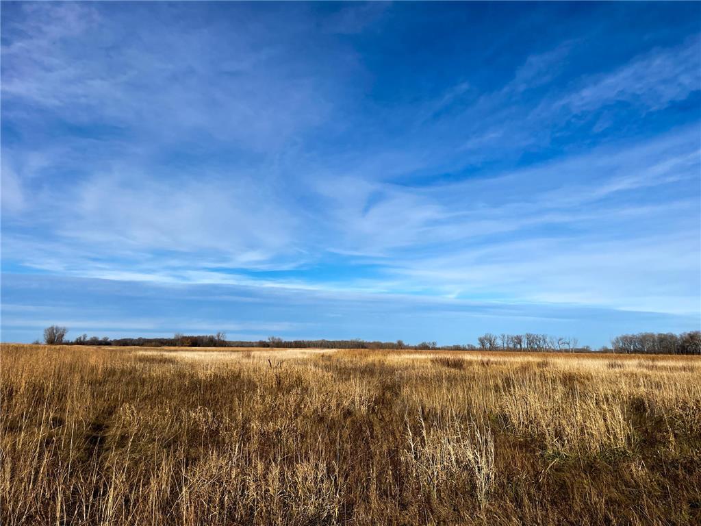 TBD HWY 10 Bray Twp MN 56701 - BLACK RIVER 7039476 image27
