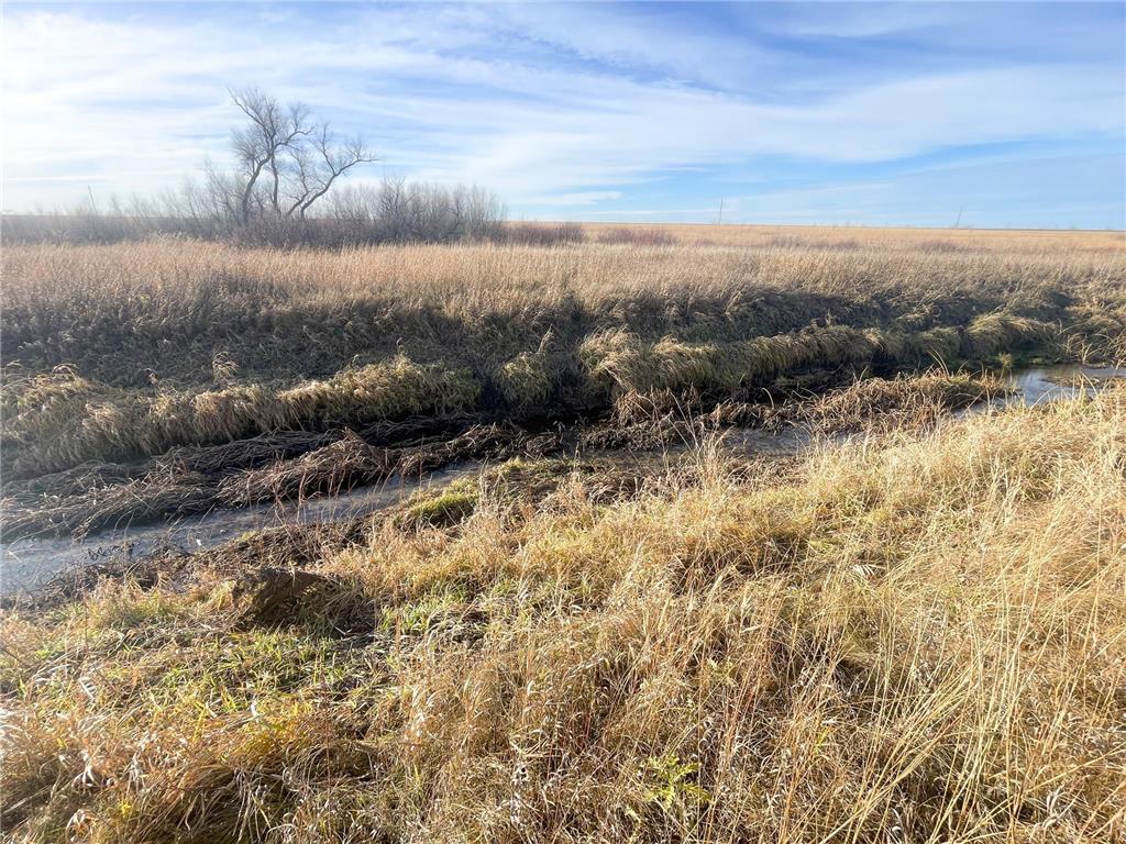 TBD HWY 10 Bray Twp MN 56701 - BLACK RIVER 7039476 image29