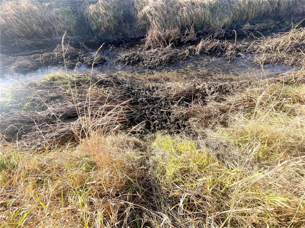 TBD HWY 10 Bray Twp MN 56701 - BLACK RIVER 7039476 image30