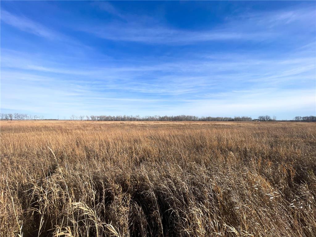 TBD HWY 10 Bray Twp MN 56701 - BLACK RIVER 7039476 image31
