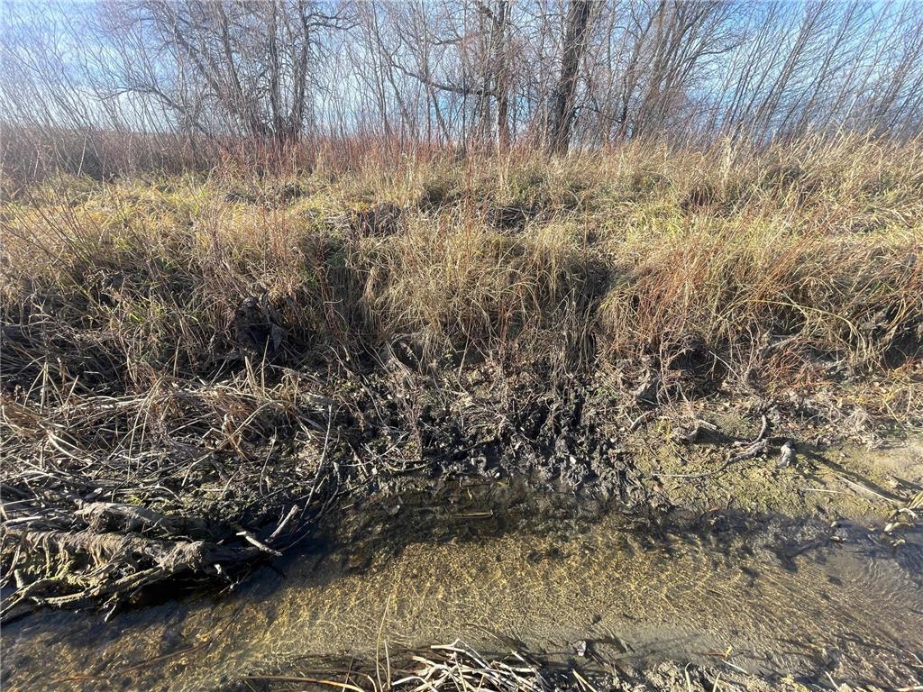 TBD HWY 10 Bray Twp MN 56701 - BLACK RIVER 7039476 image34