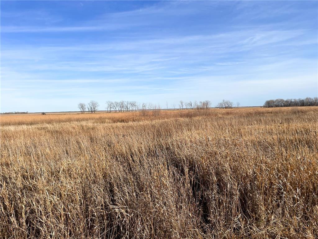 TBD HWY 10 Bray Twp MN 56701 - BLACK RIVER 7039476 image36