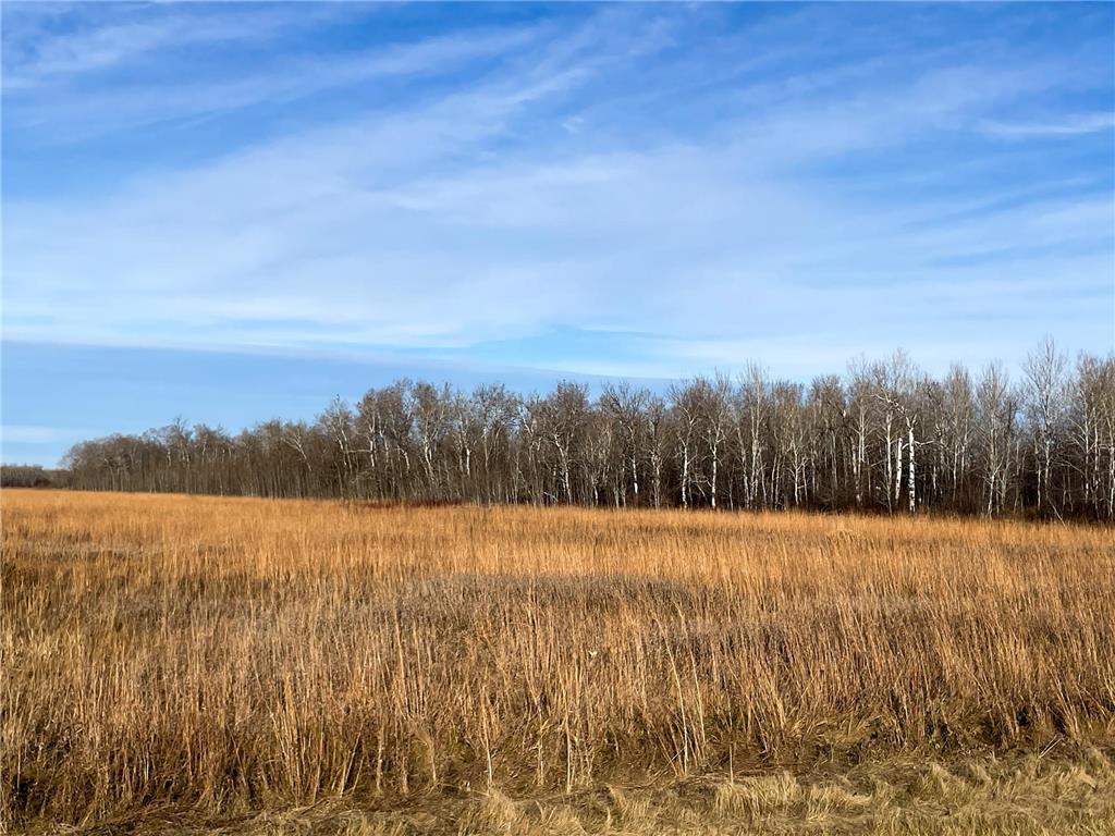 TBD HWY 10 Bray Twp MN 56701 - BLACK RIVER 7039476 image37