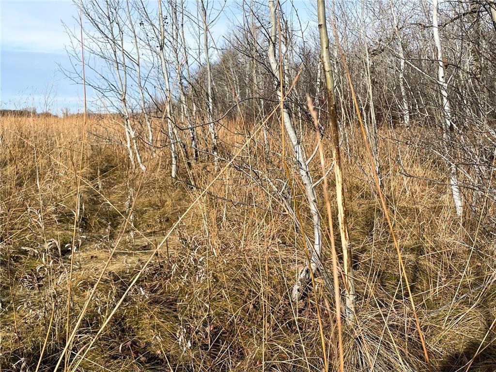 TBD HWY 10 Bray Twp MN 56701 - BLACK RIVER 7039476 image38