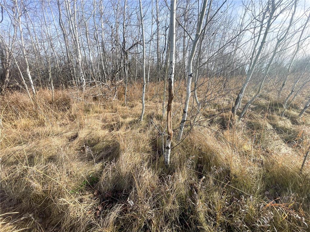 TBD HWY 10 Bray Twp MN 56701 - BLACK RIVER 7039476 image39