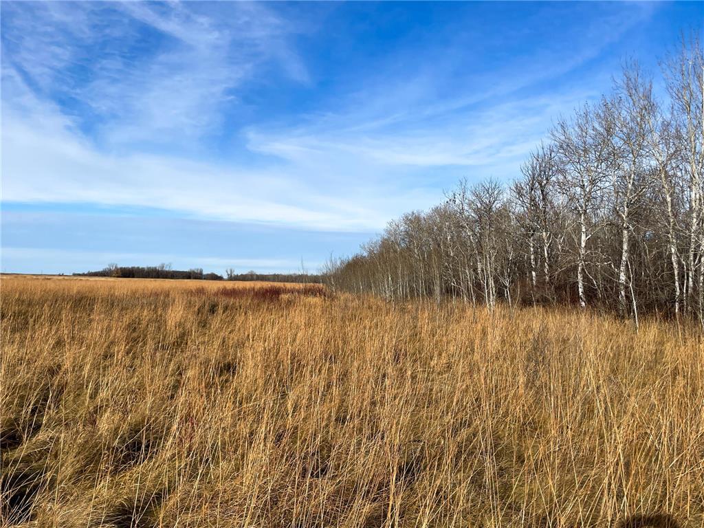 TBD HWY 10 Bray Twp MN 56701 - BLACK RIVER 7039476 image40