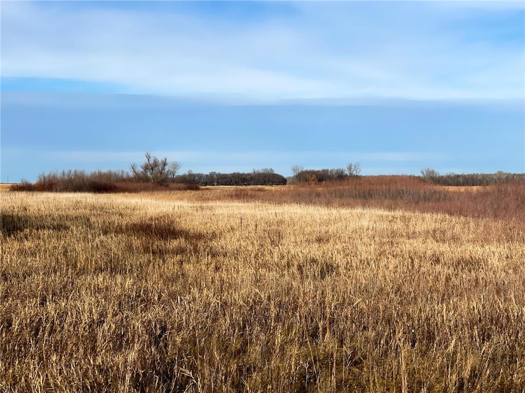 TBD HWY 10 Bray Twp MN 56701 - BLACK RIVER 7039476 image42