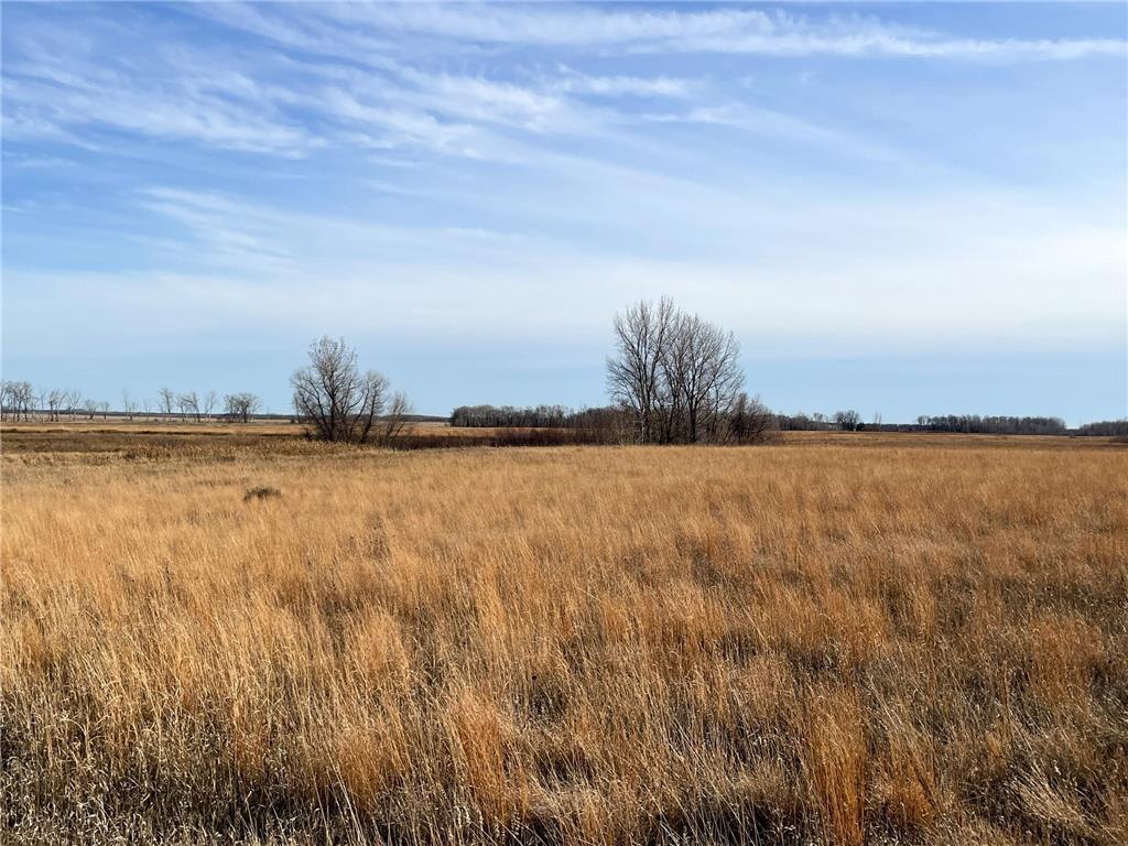 TBD HWY 10 Bray Twp MN 56701 - BLACK RIVER 7039476 image48
