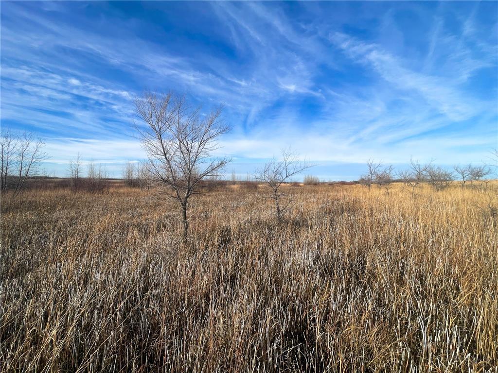 TBD HWY 10 Bray Twp MN 56701 - BLACK RIVER 7039476 image49