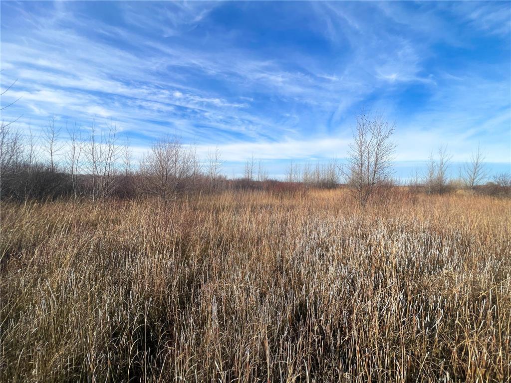 TBD HWY 10 Bray Twp MN 56701 - BLACK RIVER 7039476 image50