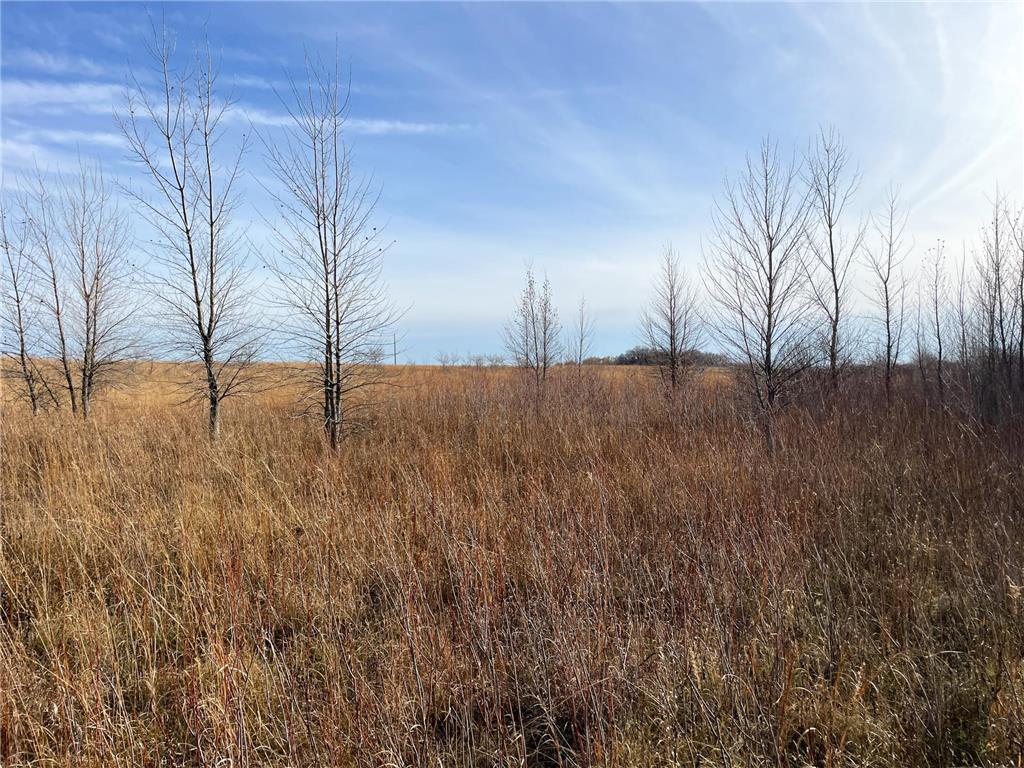 TBD HWY 10 Bray Twp MN 56701 - BLACK RIVER 7039476 image53