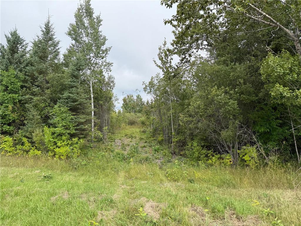 TBD HWY 11 (Parcel A) Loman MN 56654 - BLACK RIVER 6780715 image10
