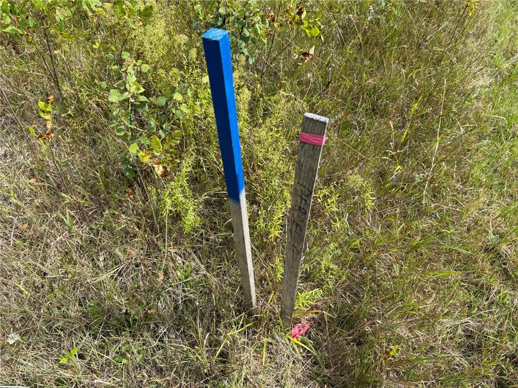 TBD HWY 11 (Parcel A) Loman MN 56654 - BLACK RIVER 6780715 image13