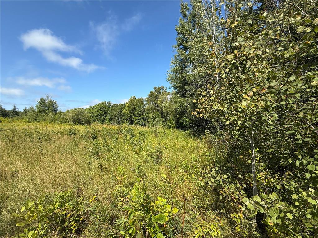 TBD HWY 11 (Parcel A) Loman MN 56654 - BLACK RIVER 6780715 image21