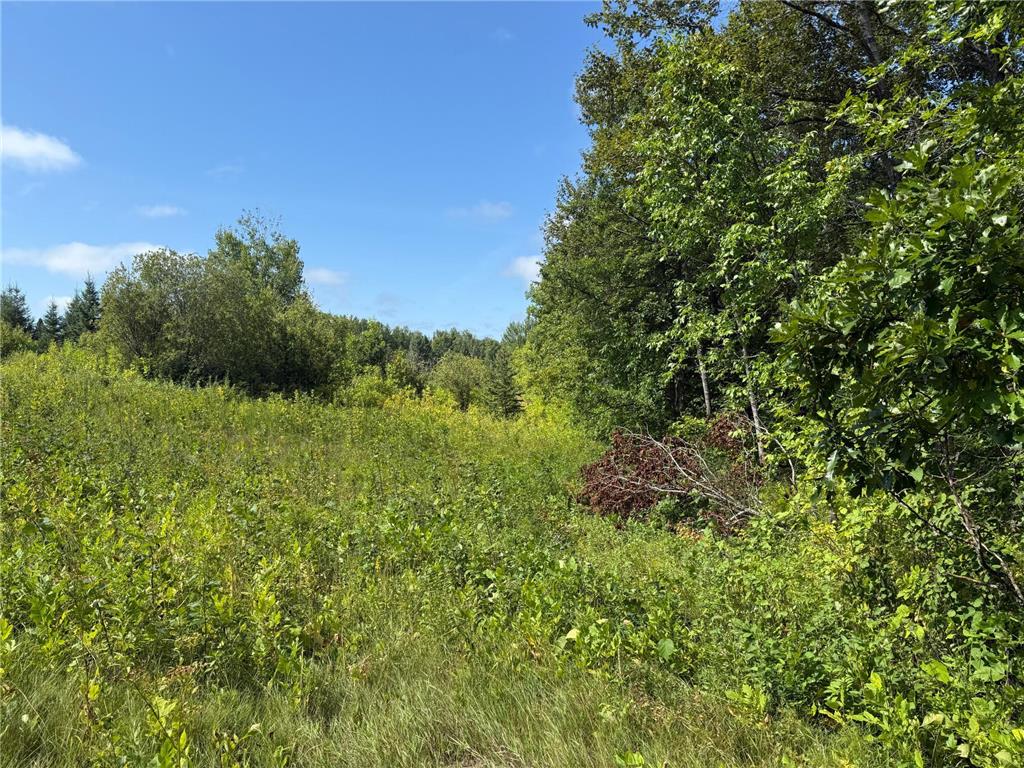 TBD HWY 11 (Parcel A) Loman MN 56654 - BLACK RIVER 6780715 image23