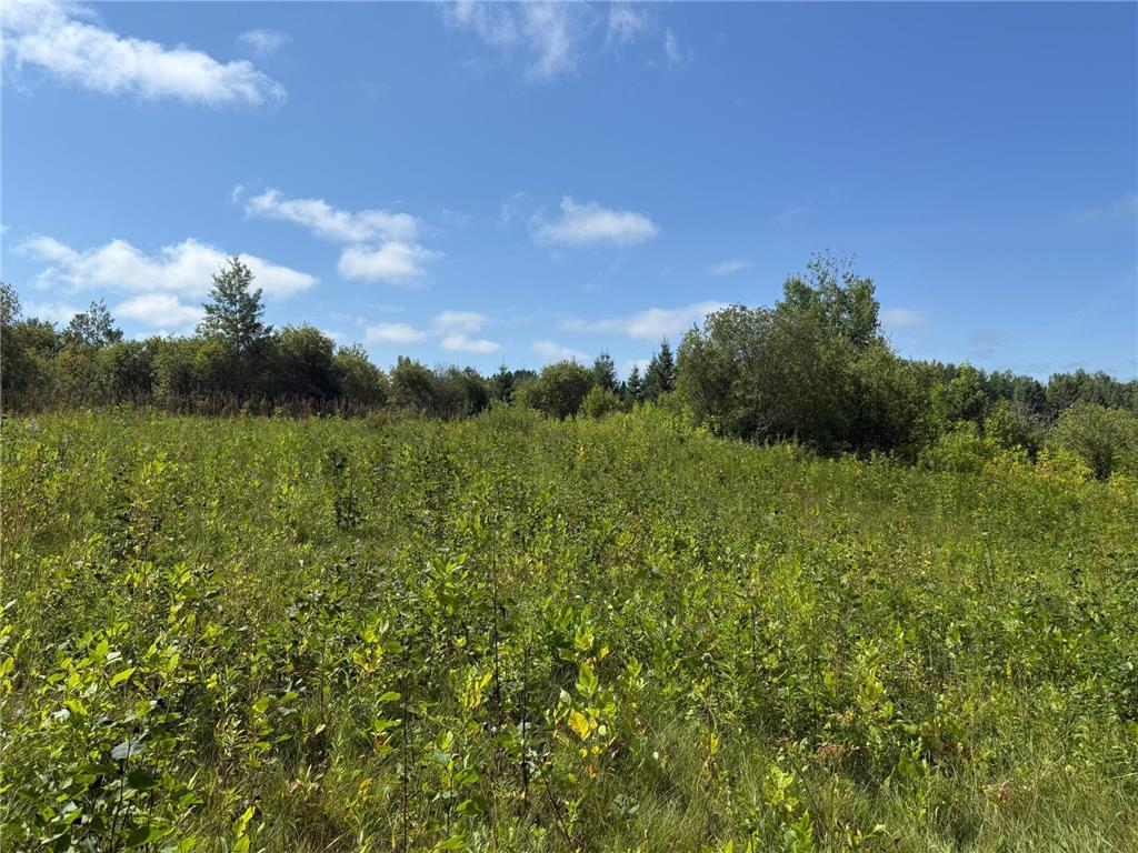 TBD HWY 11 (Parcel A) Loman MN 56654 - BLACK RIVER 6780715 image24