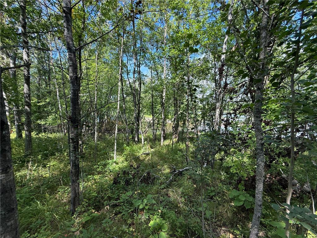 TBD HWY 11 (Parcel A) Loman MN 56654 - BLACK RIVER 6780715 image25