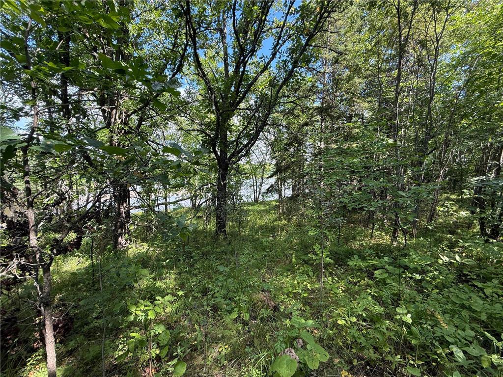 TBD HWY 11 (Parcel A) Loman MN 56654 - BLACK RIVER 6780715 image26
