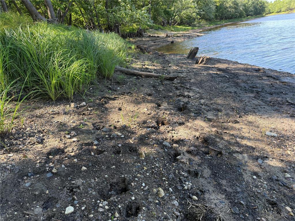 TBD HWY 11 (Parcel A) Loman MN 56654 - BLACK RIVER 6780715 image33