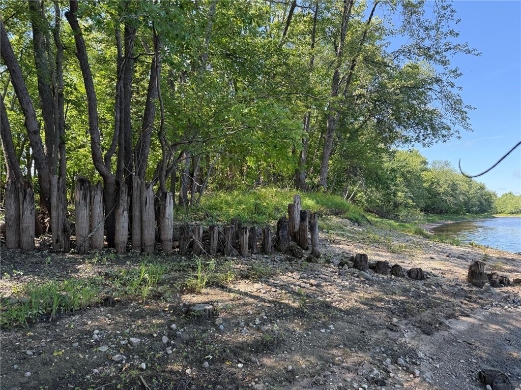 TBD HWY 11 (Parcel A) Loman MN 56654 - BLACK RIVER 6780715 image38