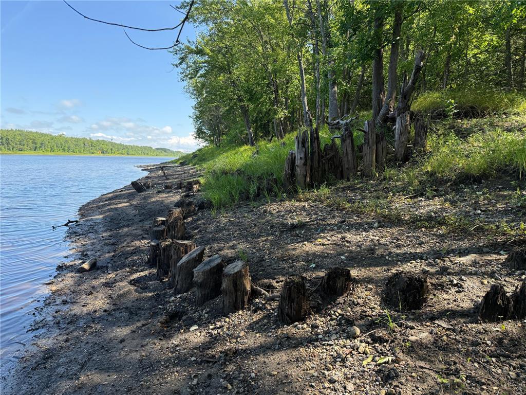 TBD HWY 11 (Parcel A) Loman MN 56654 - BLACK RIVER 6780715 image41