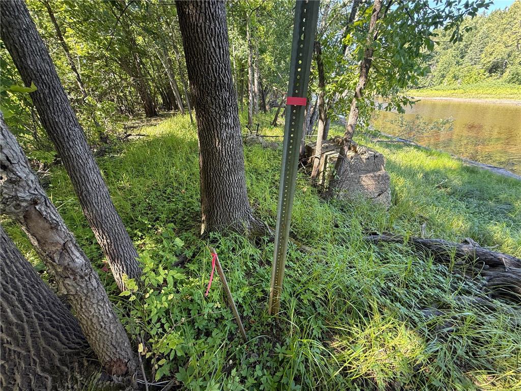 TBD HWY 11 (Parcel A) Loman MN 56654 - BLACK RIVER 6780715 image44