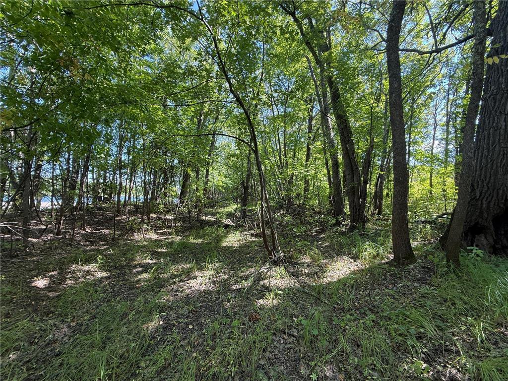TBD HWY 11 (Parcel A) Loman MN 56654 - BLACK RIVER 6780715 image45