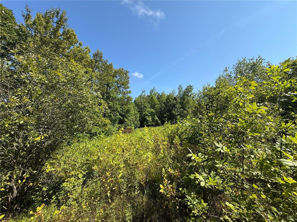 TBD HWY 11 (Parcel A) Loman MN 56654 - BLACK RIVER 6780715 image47