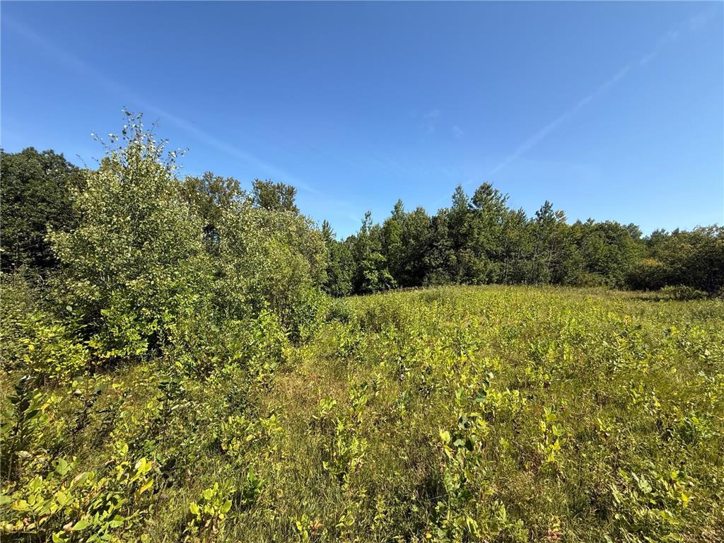 TBD HWY 11 (Parcel A) Loman MN 56654 - BLACK RIVER 6780715 image48