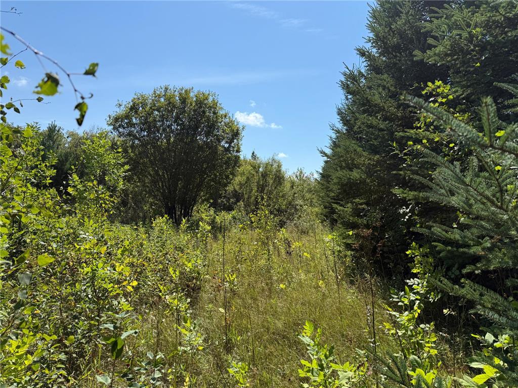 TBD HWY 11 (Parcel A) Loman MN 56654 - BLACK RIVER 6780715 image51