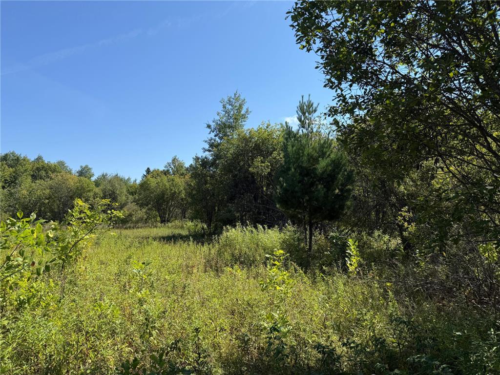 TBD HWY 11 (Parcel A) Loman MN 56654 - BLACK RIVER 6780715 image52