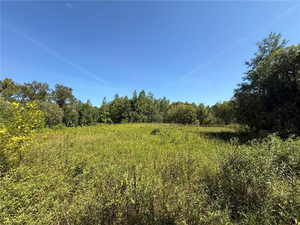 TBD HWY 11 (Parcel A) Loman MN 56654 - BLACK RIVER 6780715 image53