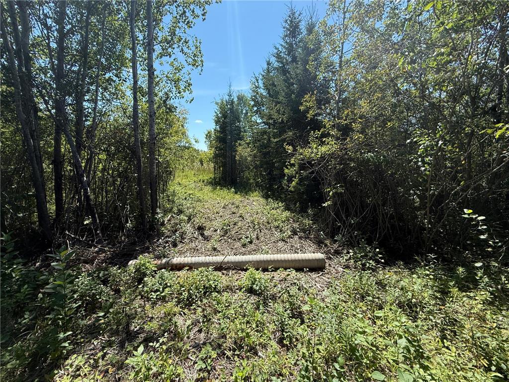 TBD HWY 11 (Parcel A) Loman MN 56654 - BLACK RIVER 6780715 image56