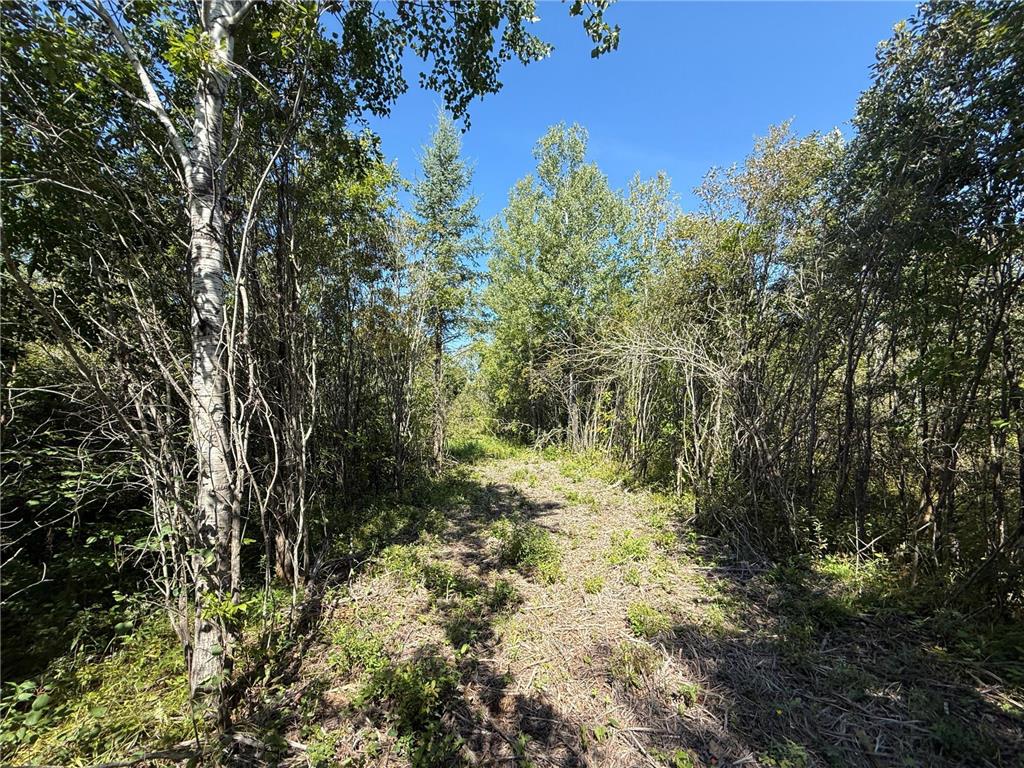 TBD HWY 11 (Parcel A) Loman MN 56654 - BLACK RIVER 6780715 image57