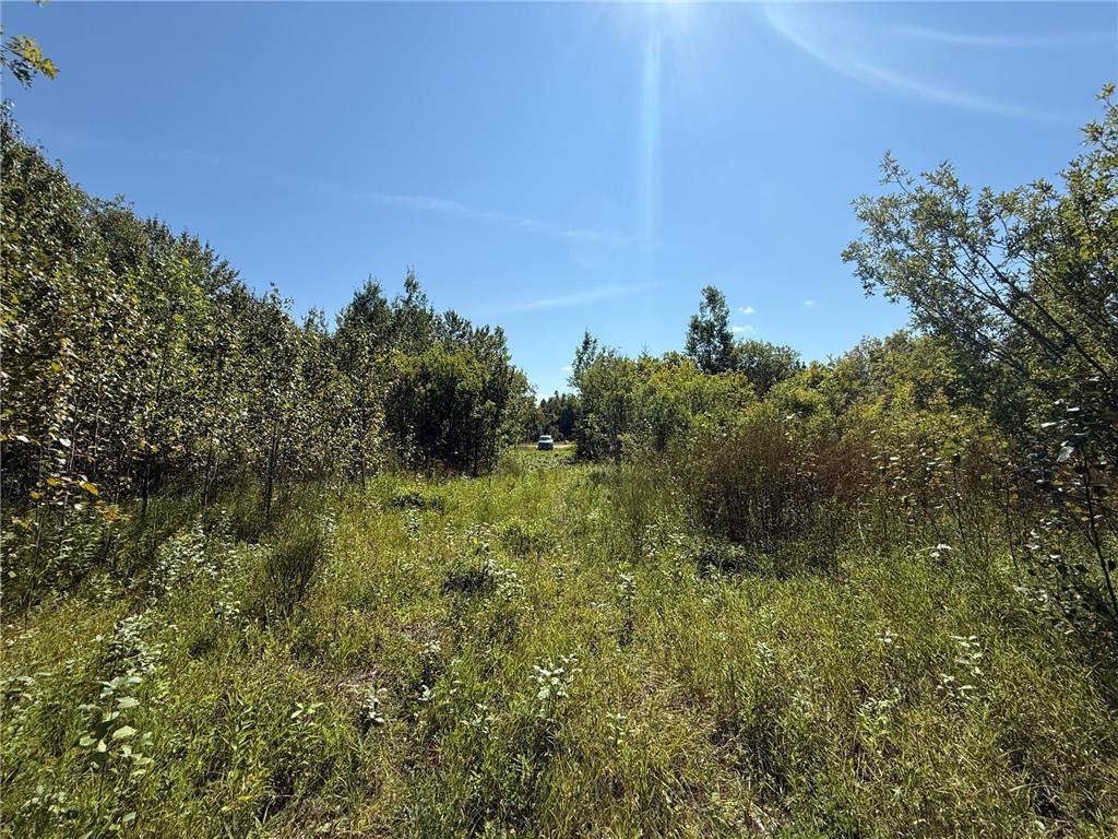 TBD HWY 11 (Parcel A) Loman MN 56654 - BLACK RIVER 6780715 image59