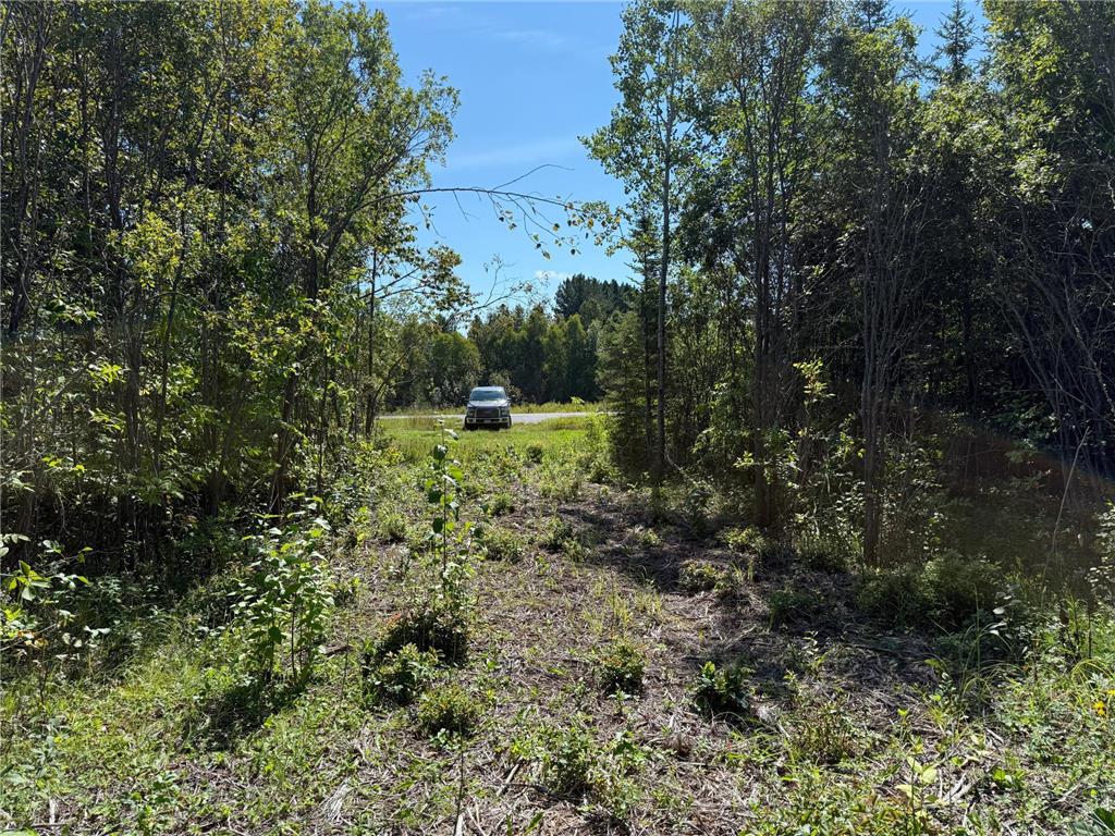 TBD HWY 11 (Parcel A) Loman MN 56654 - BLACK RIVER 6780715 image60