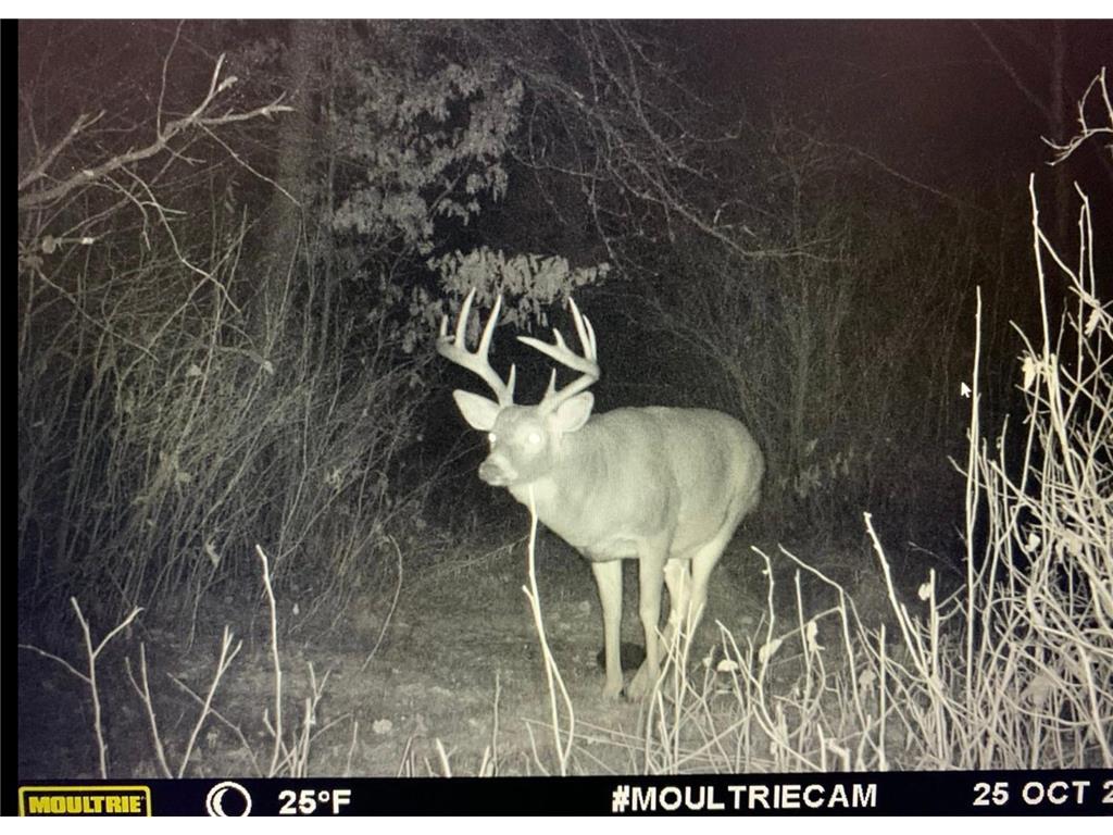 TBD HWY 227 Sebeka MN 56477 - Cat River 6373973 image1