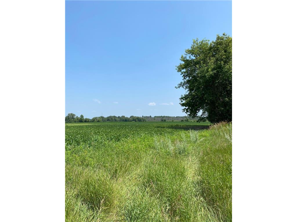 TBD HWY 65 NE Stanchfield Twp MN 55006 6768326 image1