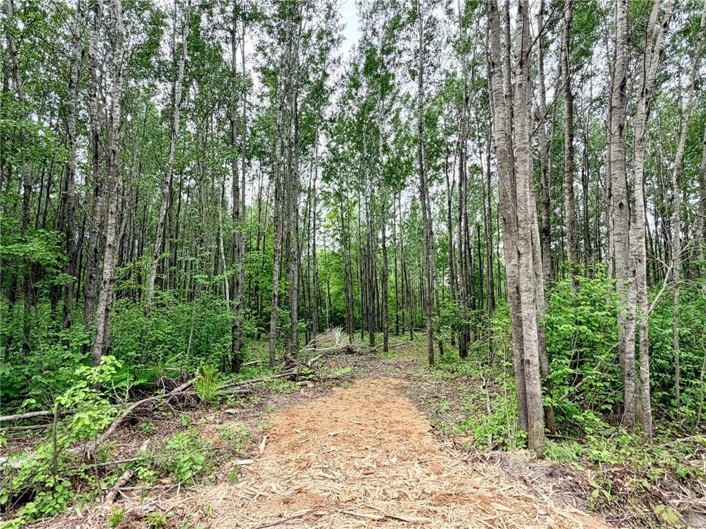 TBD Half Moon Rd Park Rapids MN 56470 7085212 image3