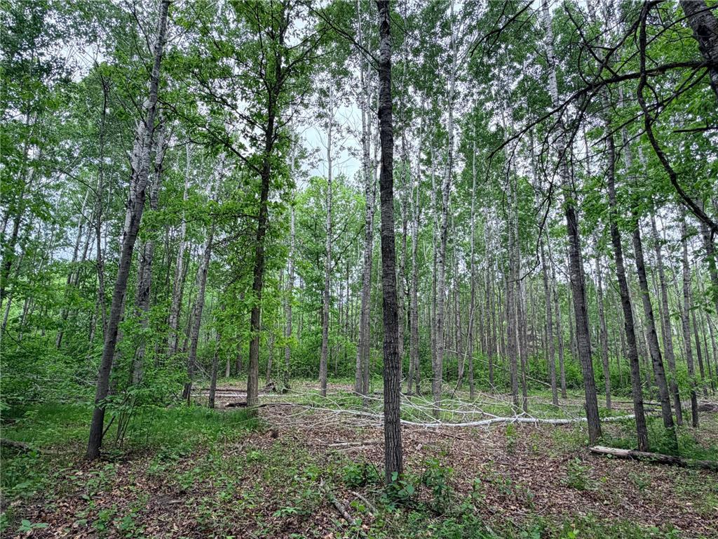 TBD Half Moon Rd Park Rapids MN 56470 7085212 image4