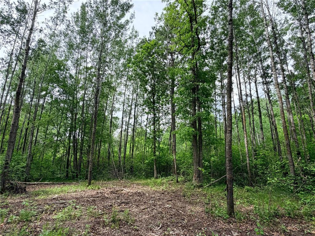 TBD Half Moon Rd Park Rapids MN 56470 7085212 image6